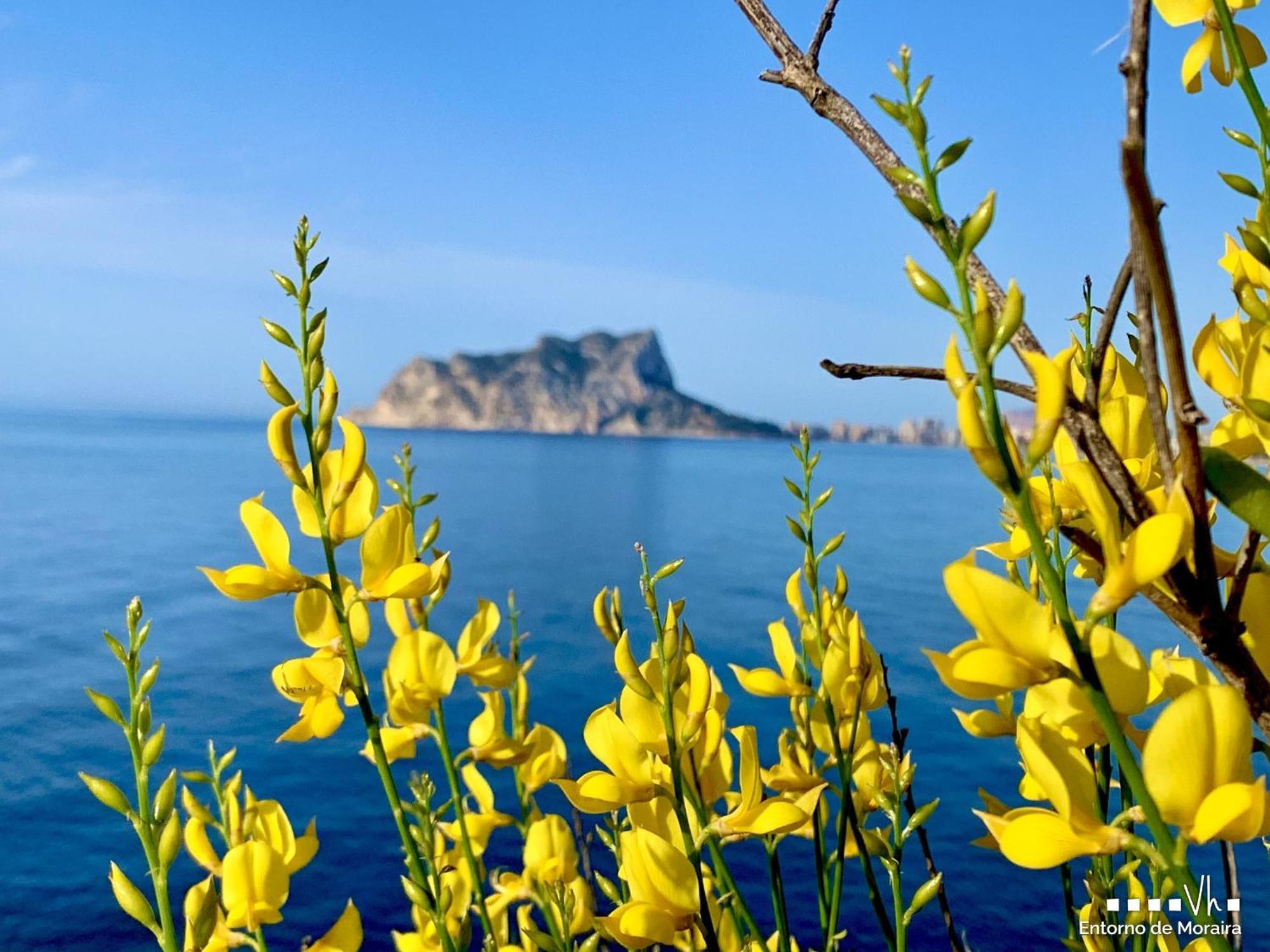 Vh Costablanca - Carmen Villa โมไรรา ภายนอก รูปภาพ