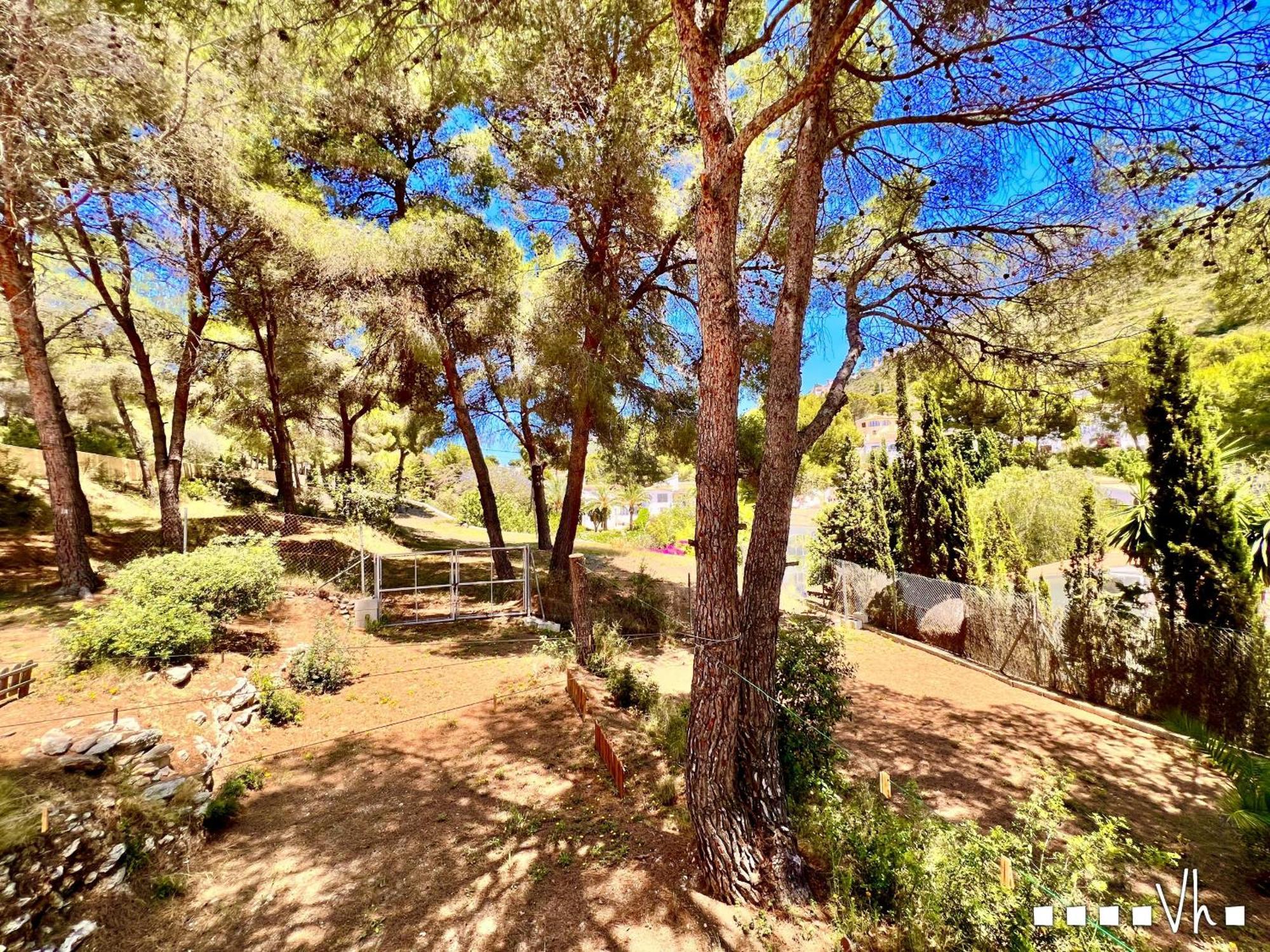 Vh Costablanca - Carmen Villa โมไรรา ภายนอก รูปภาพ